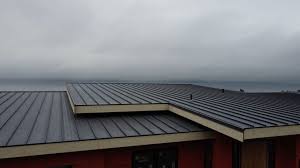 Best Commercial Roofing Services  in Delta, OH